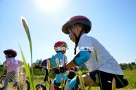 子宮內膜異位癥可通過試管嬰兒技術，解決不孕難題