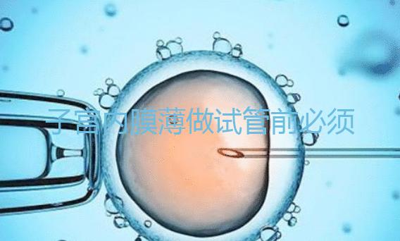 子宮內膜薄做試管前必須先調理好，調理方法在這里自取！