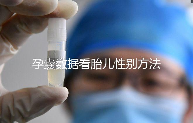 孕囊數據看胎兒性別方法，尺寸兩大一小是男孩瞎扯