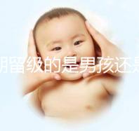 孕期留級的是男孩還是女孩別瞎猜，生兒子多是偶然或謠傳