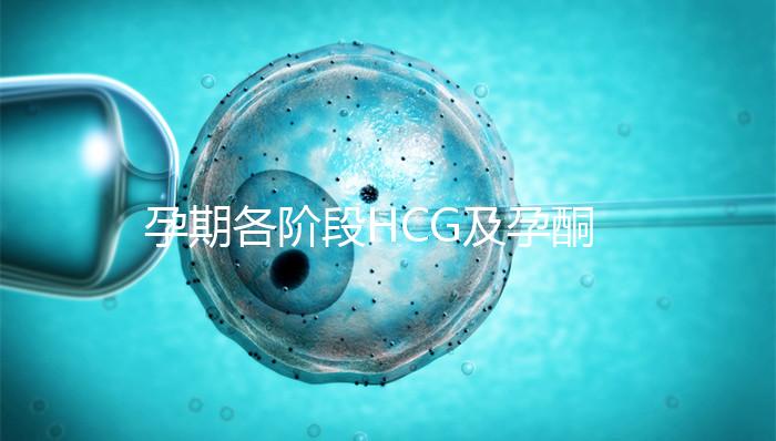 孕期各階段HCG及孕酮對照表，孕初期就要評估懷孕指標