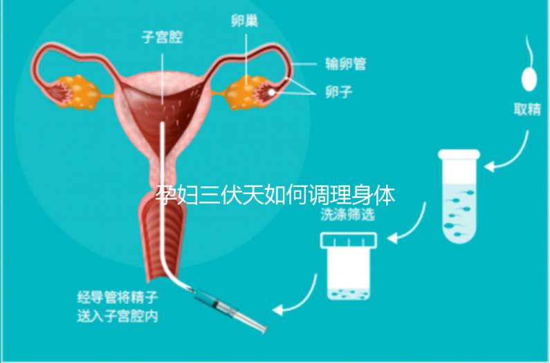 孕婦三伏天如何調(diào)理身體看這，專家：不建議曬太陽補鈣