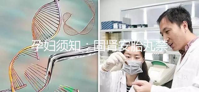 孕婦須知：固腎安胎丸禁忌 這些人不能吃