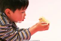 宮外孕的主要原因是什么？