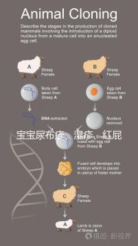 寶寶尿布疹、濕疹、紅屁股傻傻分不清？4點(diǎn)區(qū)別輕松診斷