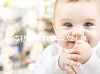 夏枯草的作用與功效（夏枯草的作用與功效主治）