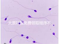 太原葉酸免費(fèi)領(lǐng)取程序不難，@準(zhǔn)媽媽們：小店區(qū)這里可領(lǐng)