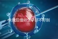 失獨后借卵生子好不好別還不造，供卵or領養過來人感受更深