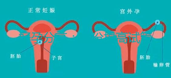 好孕分享：這份提高試管移植著床率的偏方快收藏！全是干貨