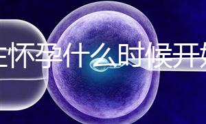 女性懷孕什么時(shí)候開始更準(zhǔn)確？