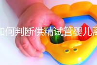 如何判斷供精試管嬰兒離婚，會(huì)不會(huì)一目了然地判給女方？