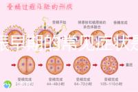 妊娠早期的常見癥狀是什么？