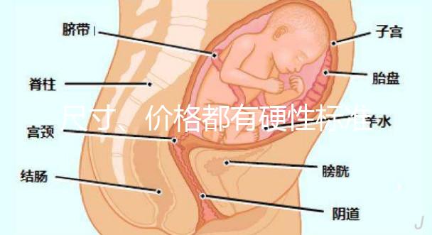 尺寸、價格都有硬性標準，選擇雙胞胎嬰兒床決不可大意！