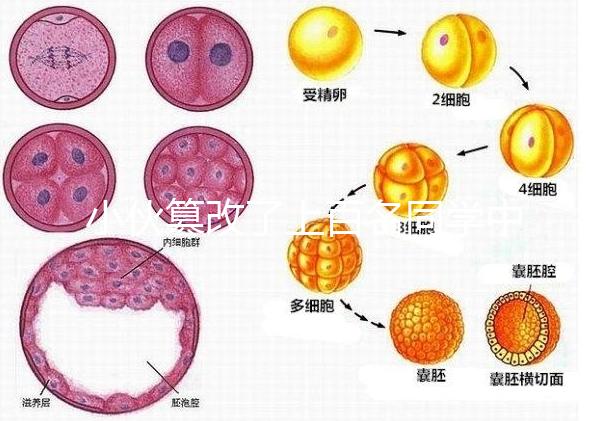 小伙篡改了上百名同學(xué)中考志愿，這些預(yù)防知識(shí)多么重要！