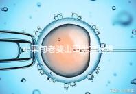 小栗旬老婆山田優二胎降生，曾挺6月孕肚騎車接送大女兒