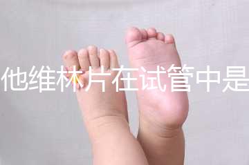 屈他維林片在試管中是否有副作用，導致胎停不是空穴來風