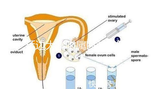 延邊大學附屬醫院試管怎么樣，助孕成功率、收費目錄表奉上