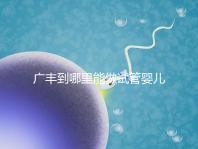 廣豐到哪里能做試管嬰兒？江西省內(nèi)這些城市是熱門(mén)