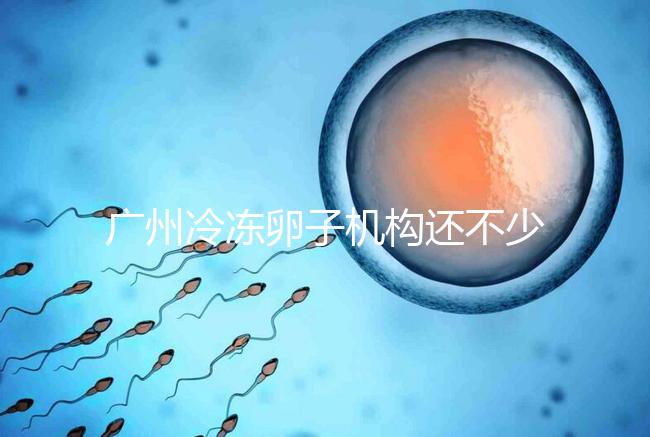 廣州冷凍卵子機構還不少，但國內凍卵這些條件你達成了嗎？