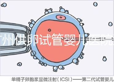 廣州供卵試管嬰兒醫院匯總，真實案例告訴你廣東哪家最好