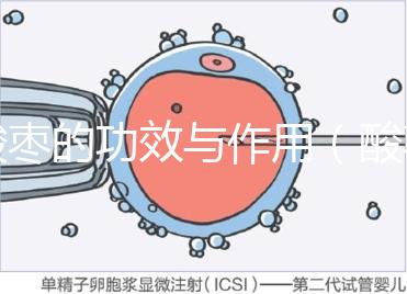 酸棗的功效與作用（酸棗與酸棗仁的區(qū)別）