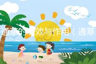 通草的功效與作用（通草的功效與作用主要治什么病）