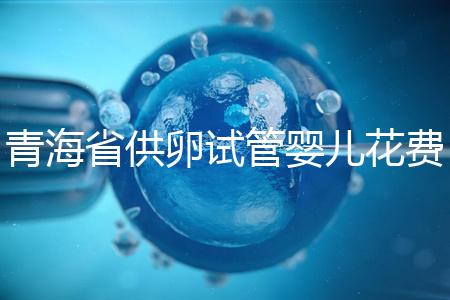 青海省供卵試管嬰兒花費明細表一覽，一次成功助孕費用最低