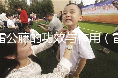 雷公藤的功效與作用（雷公藤副作用和危害）