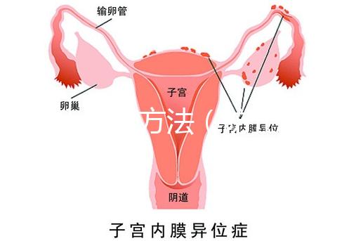 防止暈厥方法（防止暈厥方法有哪些）