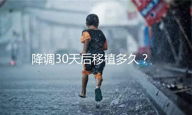 降調30天后移植多久？什么時候可以同房喝酒？