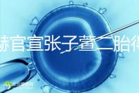 陳赫官宣張子萱二胎得女，首曬全家福長(zhǎng)相酷似媽媽