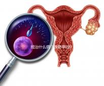 能治什么?。夸咫[亭的9大作用與功效介紹