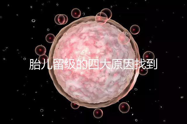 胎兒留級的四大原因找到了！多半和媽媽太懶不運(yùn)動(dòng)有關(guān)系