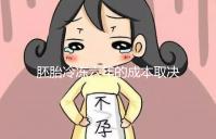 胚胎冷凍六年的成本取決于機構，解凍后是否可以移植