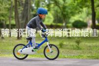 脾腎陽虛（脾腎陽虛最佳中成藥）