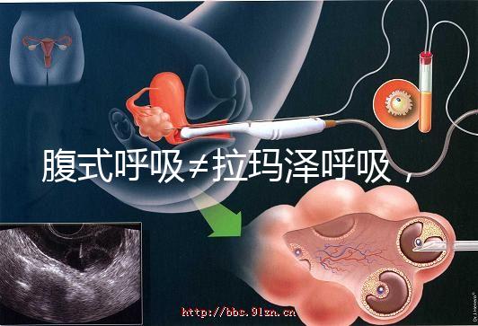 腹式呼吸≠拉瑪澤呼吸，想緩解分娩痛請先分清二者區(qū)別