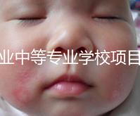 職業(yè)中等專業(yè)學(xué)校項目（中等職業(yè)學(xué)校專業(yè)建設(shè)規(guī)劃實施方案）