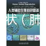 肺癌的癥狀（肺癌最明顯的征兆）