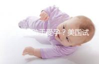 菠蘿有助于受孕？美國試管嬰兒移植后的5個冷知識都看看