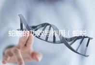 蛇蛻的功效與作用（蛇蛻壯陽(yáng)的功效）