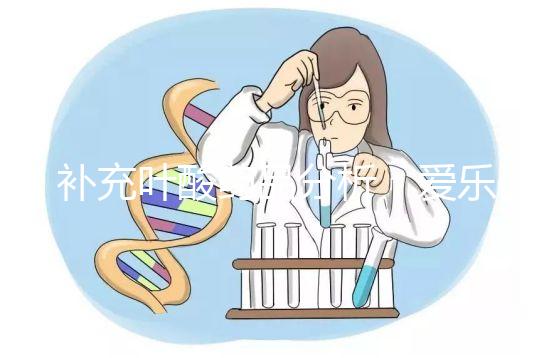 補充葉酸藥品分析：愛樂維和斯利安哪個孕期更需？