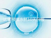 試管移植凍胚10天白板咋辦?懷孕還有希望別擔心