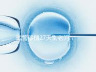 試管移植27天別老問hcg多少正常！也要看孕囊大小是否達標