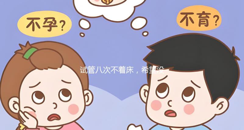 試管八次不著床，希望沒問題回答宮腔環境是關鍵