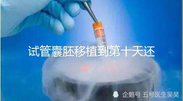 試管囊胚移植到第十天還是白板別擔心，放松心態等逆襲吧！