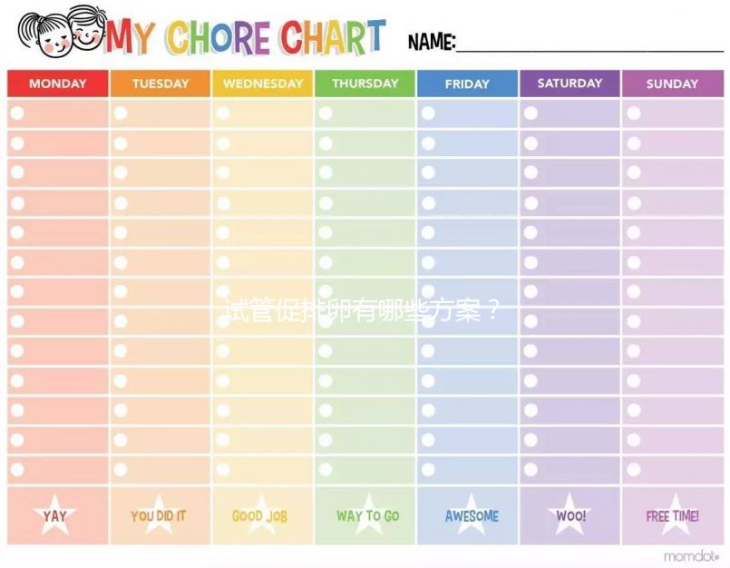 試管促排卵有哪些方案？2024年，如果你想懷孕，你應該選擇適合自己的
