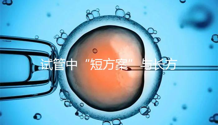 試管中“短方案”與長(zhǎng)方案區(qū)別分析，時(shí)間并非唯一差異