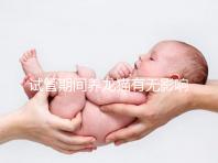 試管期間養龍貓有無影響剖析，是否胎停、流產取決這幾點