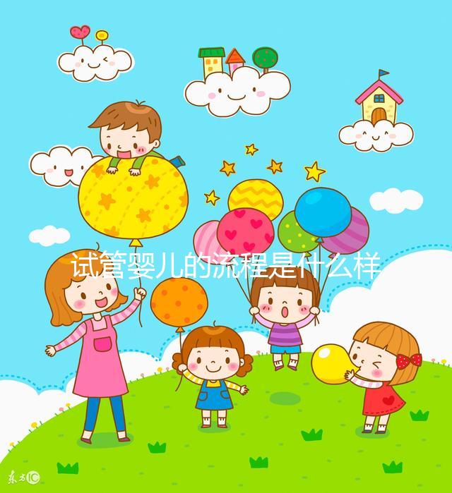 試管嬰兒的流程是什么樣的（試管嬰兒的流程是什么樣的呢）