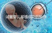 試管嬰兒移植成功后胎停(試管嬰兒為什么會胎停)